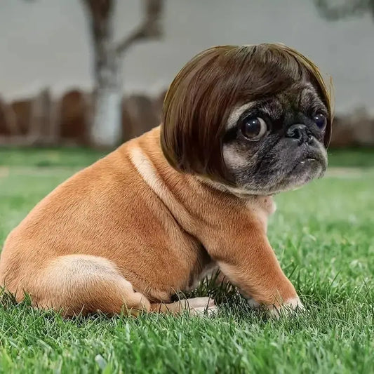 Cute Short Hair Wig Pet Headband
